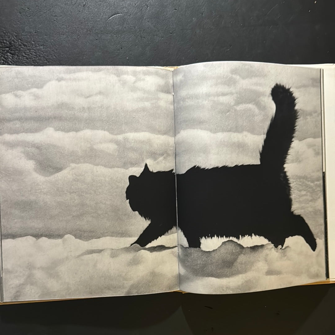 KATZEN
