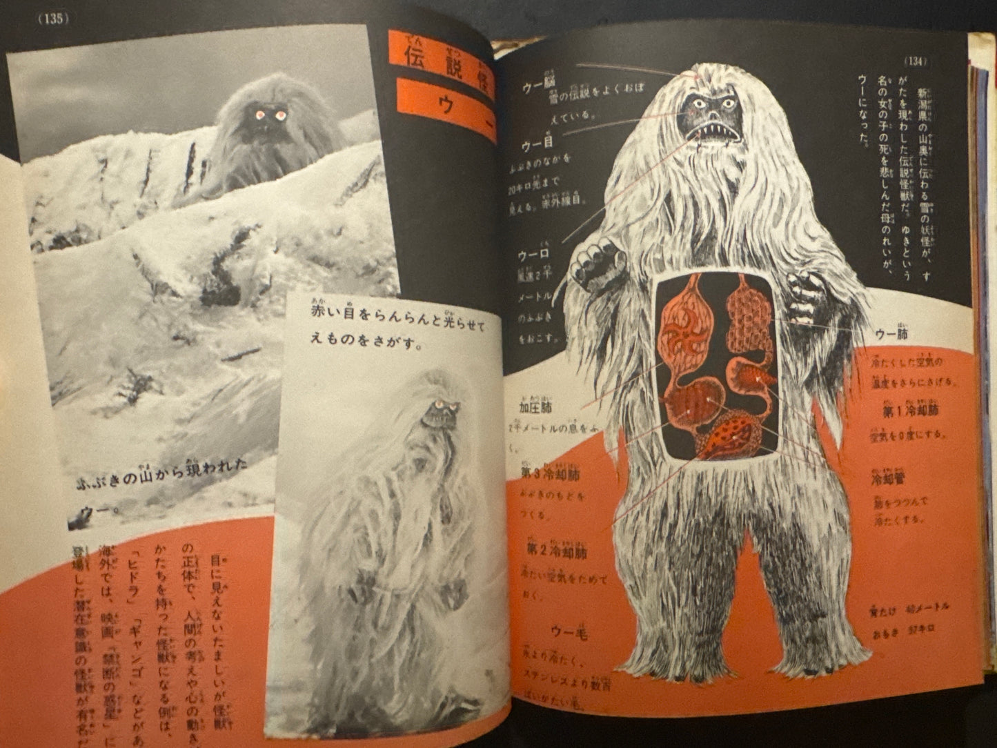 Kaiju Anatomy - Kaiju Illustrated Introduction 18