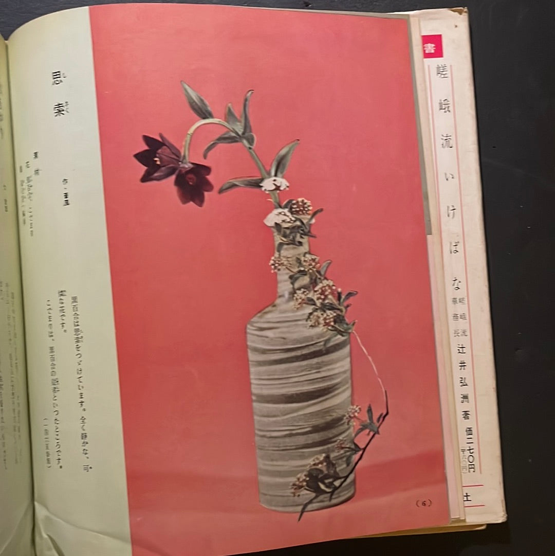 Sogetsu Ikebana at Home