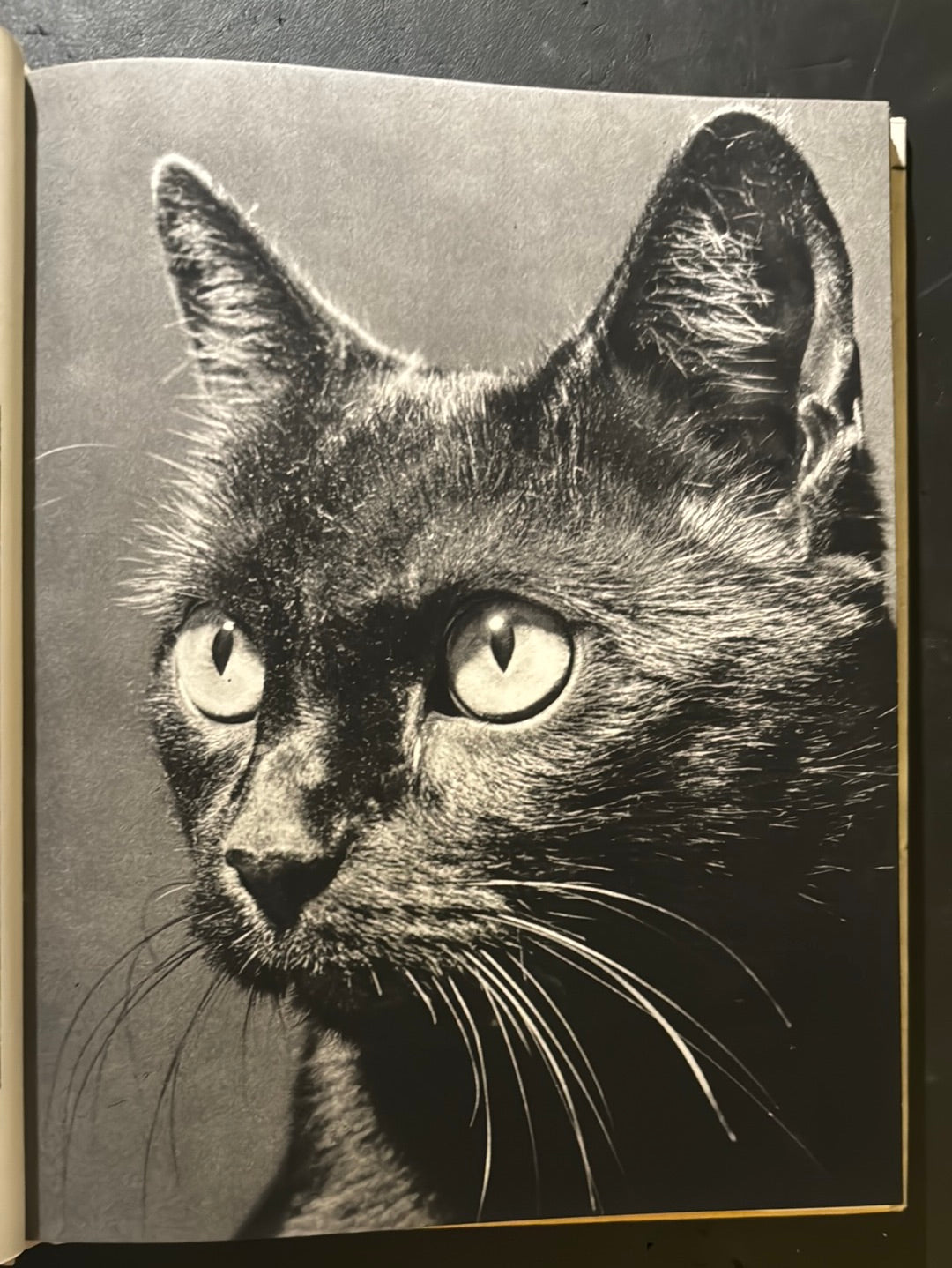 KATZEN