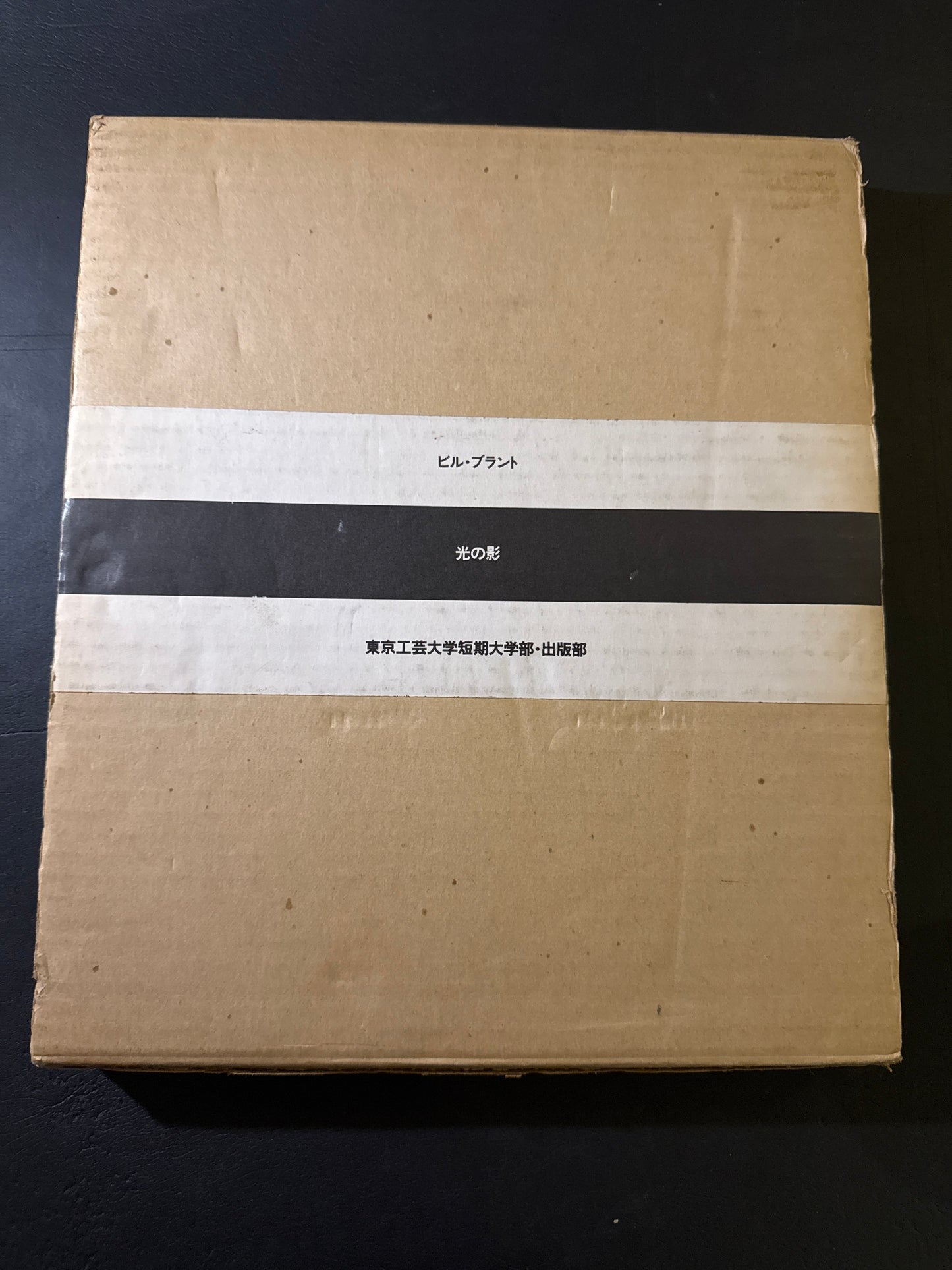 SHADOW OF LIGHT(Japanese edition)