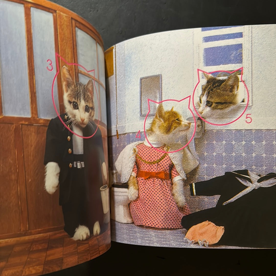 Rock'n' Roll CATS