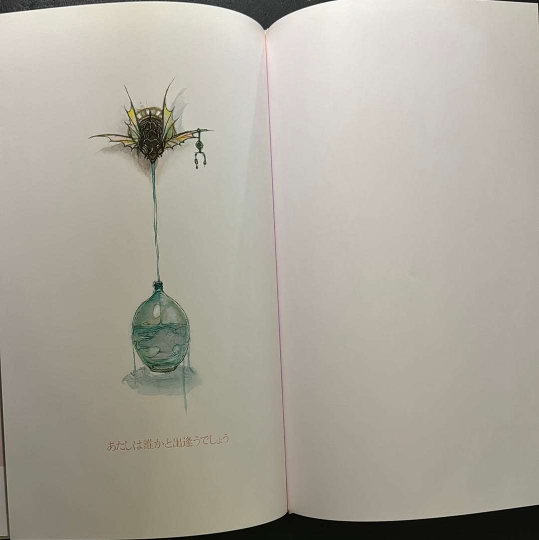 Angel's Egg 1985 First edition
