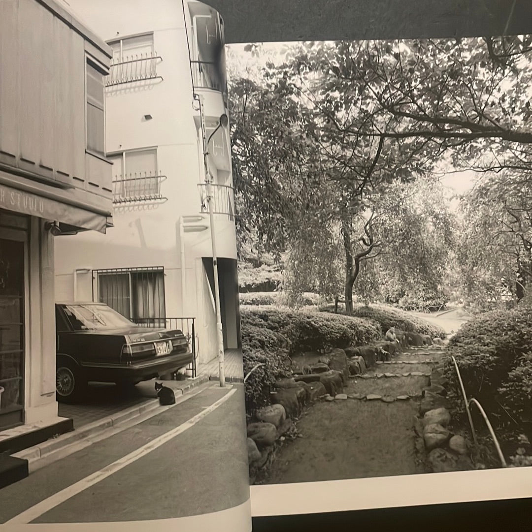 Living Cats in Tokyo