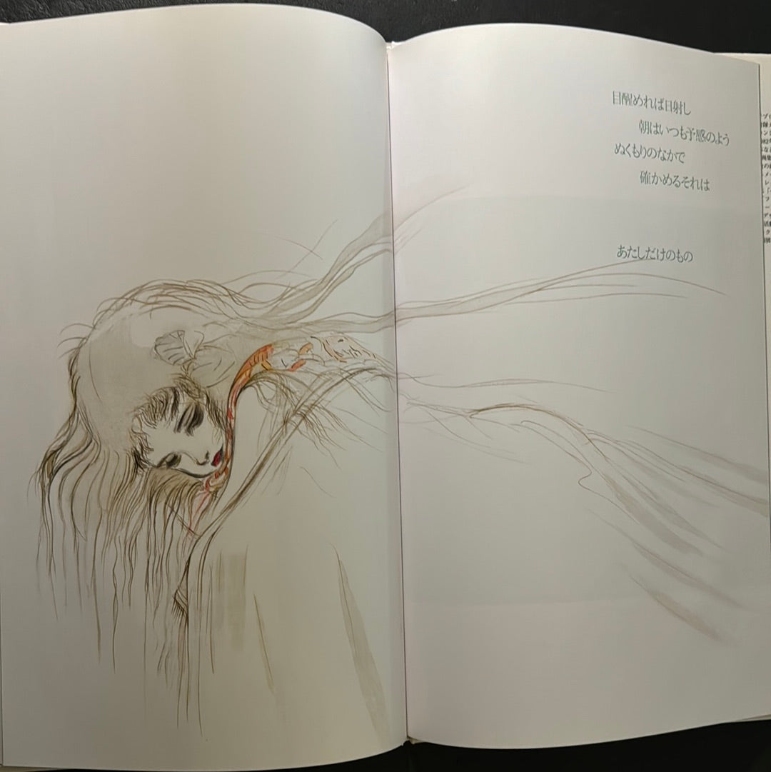 Angel's Egg 1985 First edition