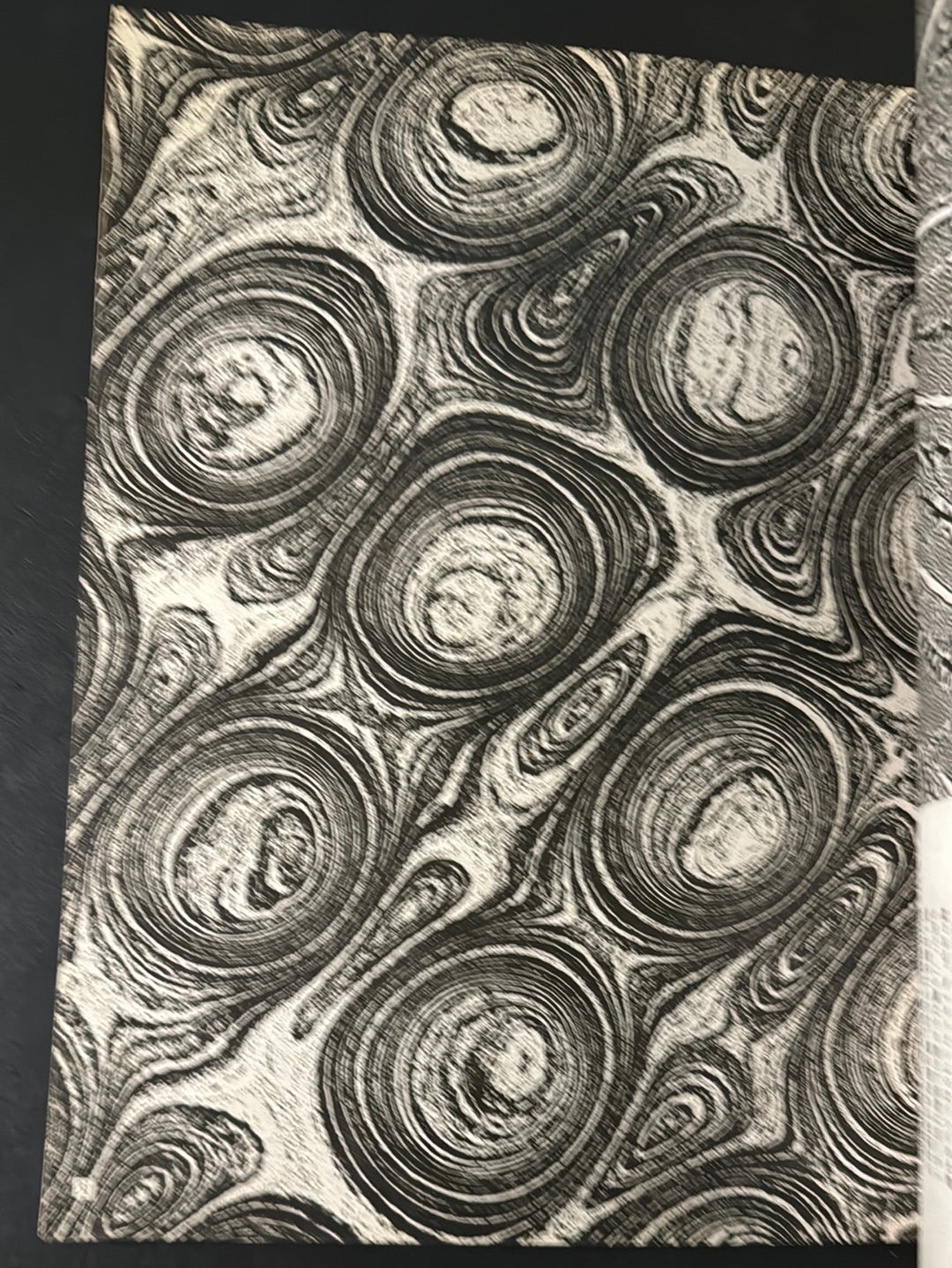 Scientific eyes