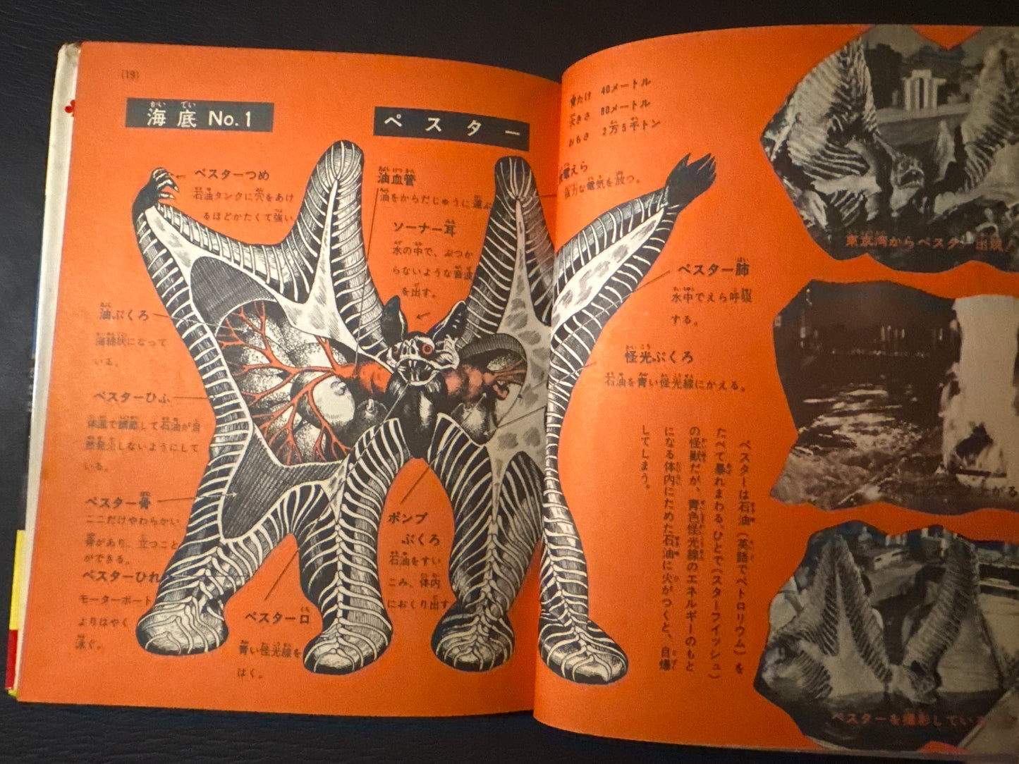 Kaiju Anatomy - Kaiju Illustrated Introduction 18