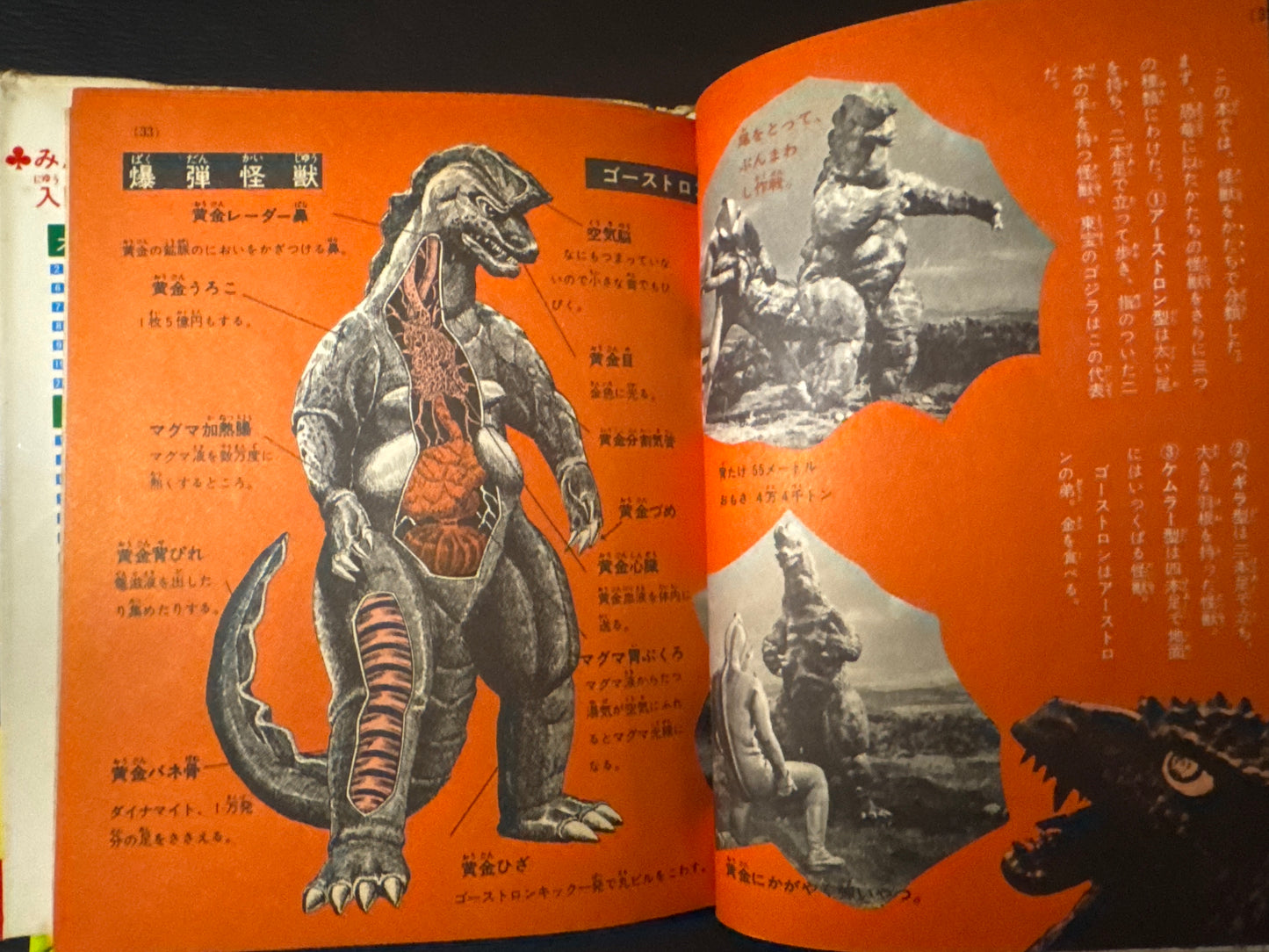 Kaiju Anatomy - Kaiju Illustrated Introduction 18