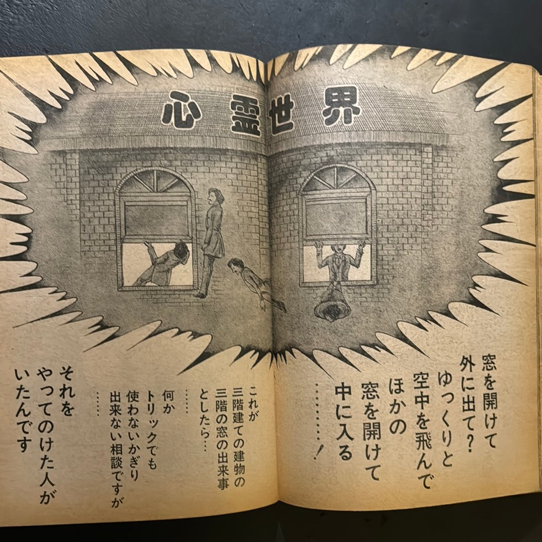Burning World vol.1 & 2 complete set