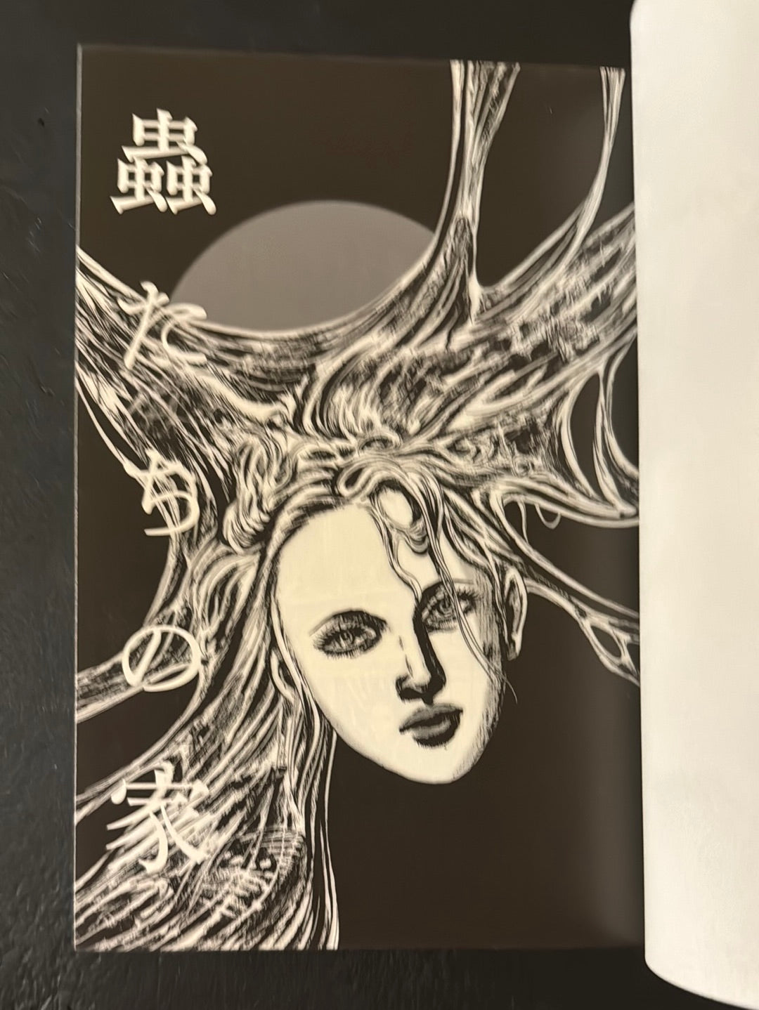 Mushi tachi no Ie (house of insects)