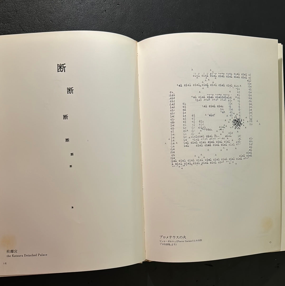 SEIICHI NIIKUNI : CONCRETE POETRY