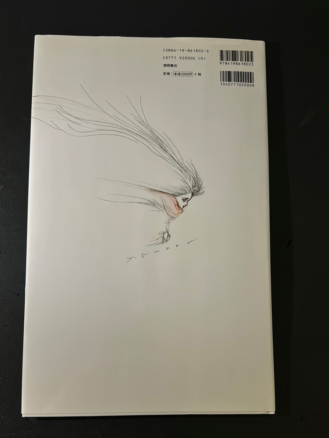 Angel's Egg 1985 First edition