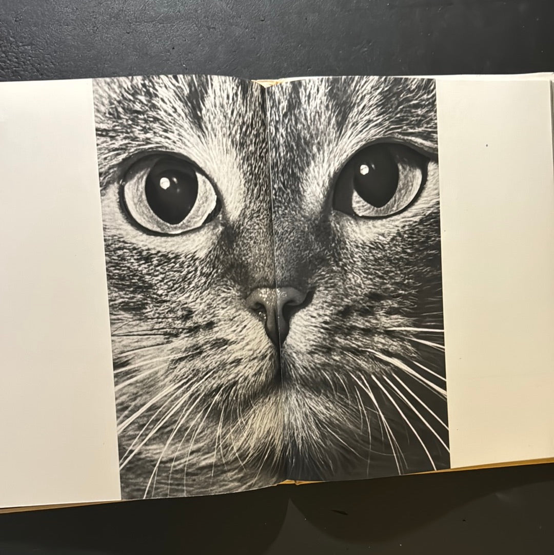KATZEN