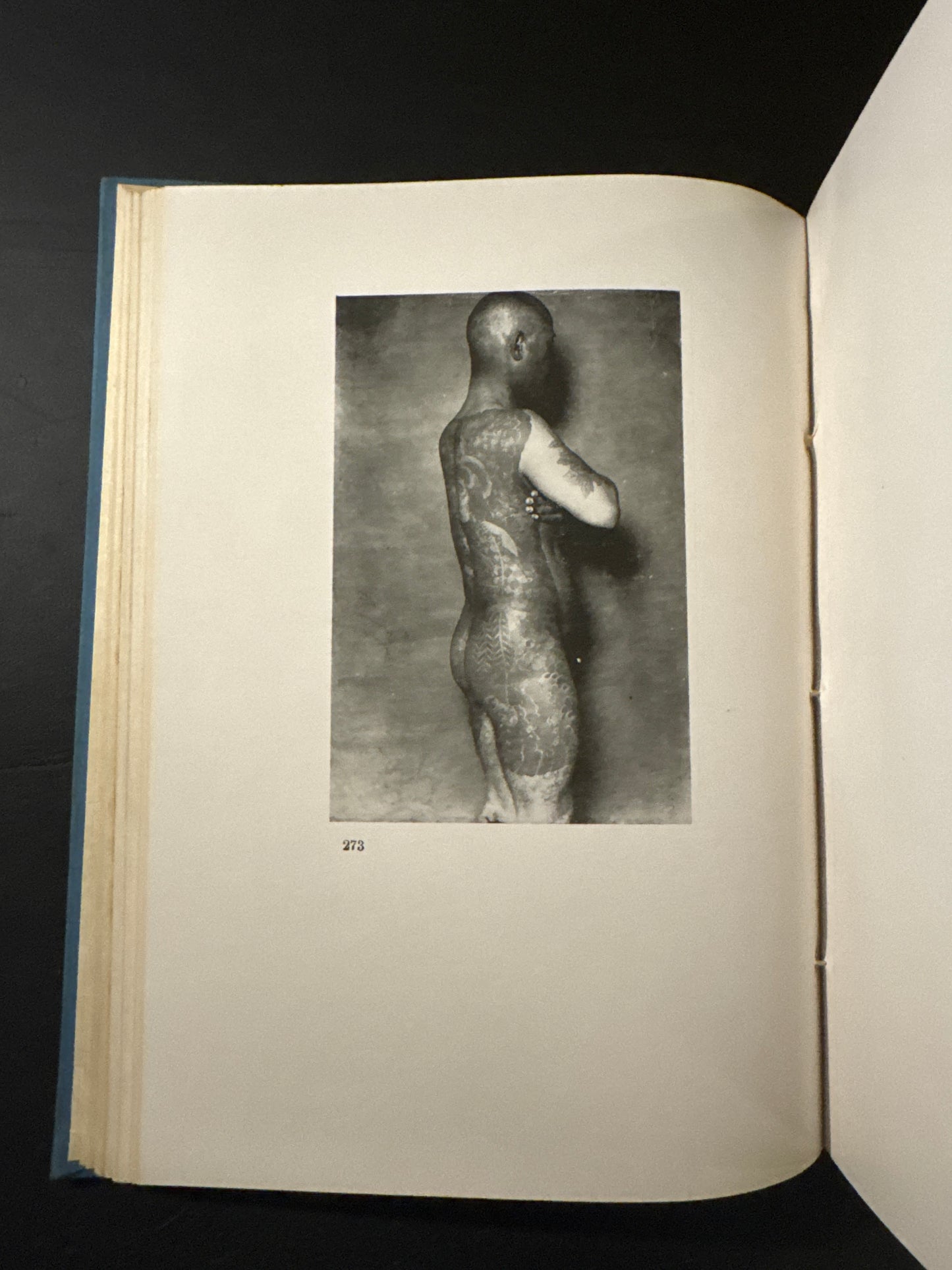 Crime science research materials. Punishment, perverted sexual desires, tattoo research