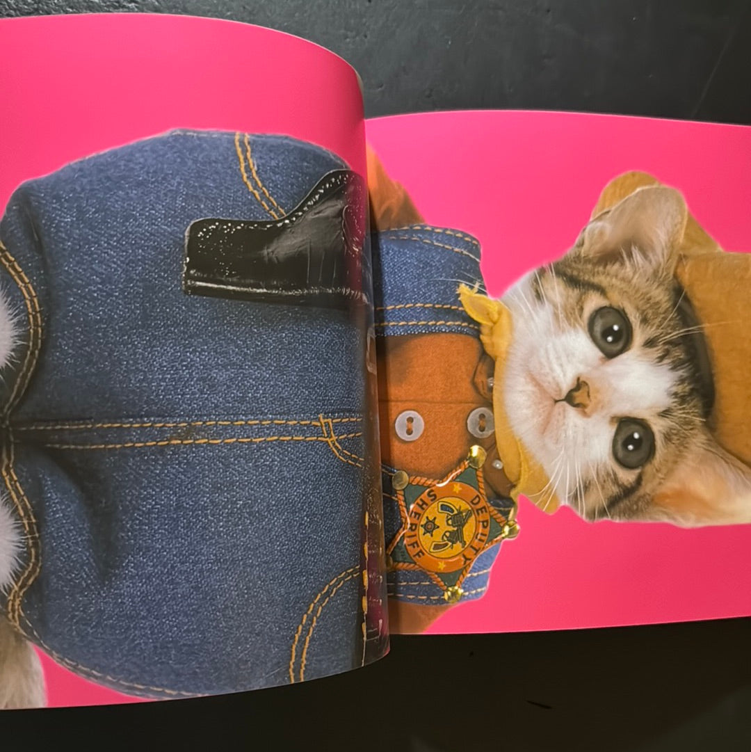 Rock'n' Roll CATS