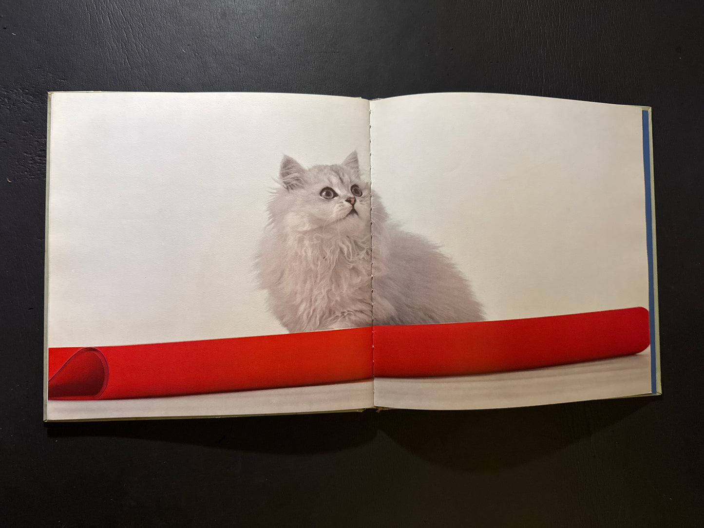 NEKO