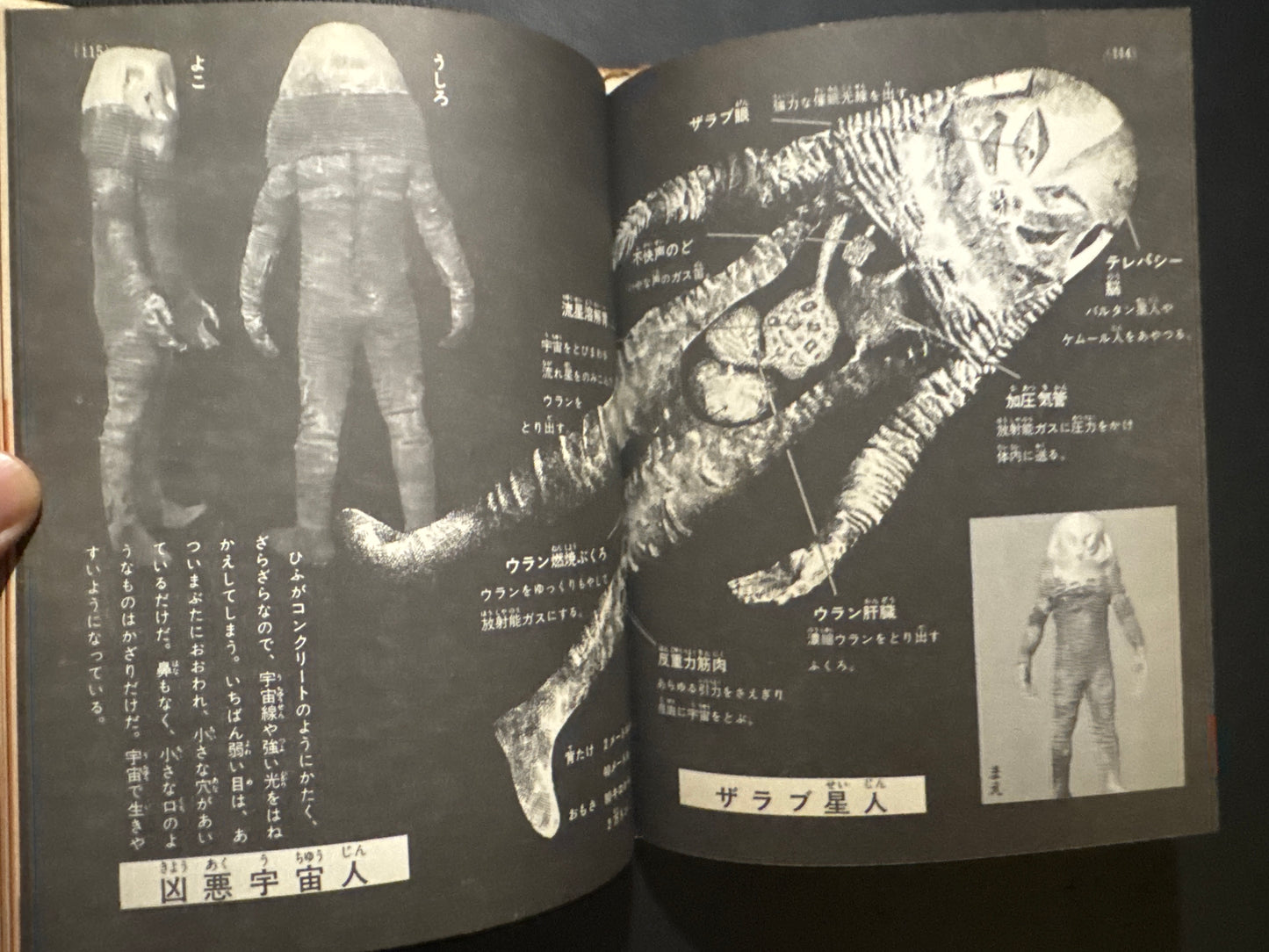 Kaiju Anatomy - Kaiju Illustrated Introduction 18