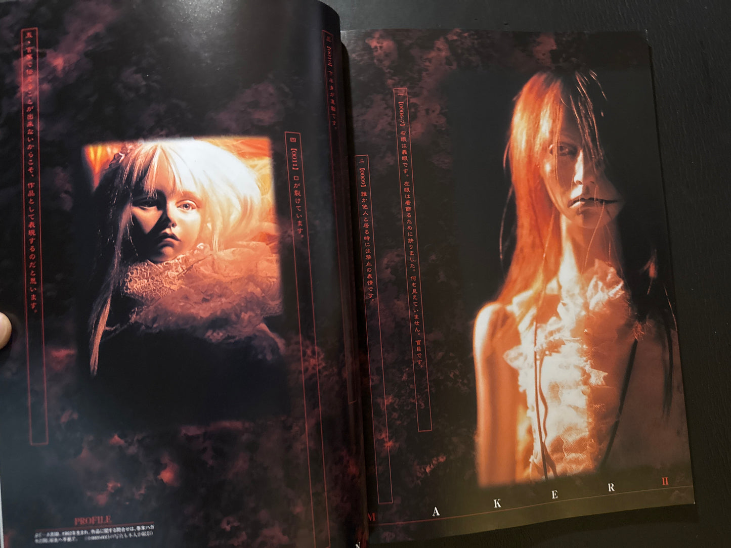D.D.D. magazine vol.10