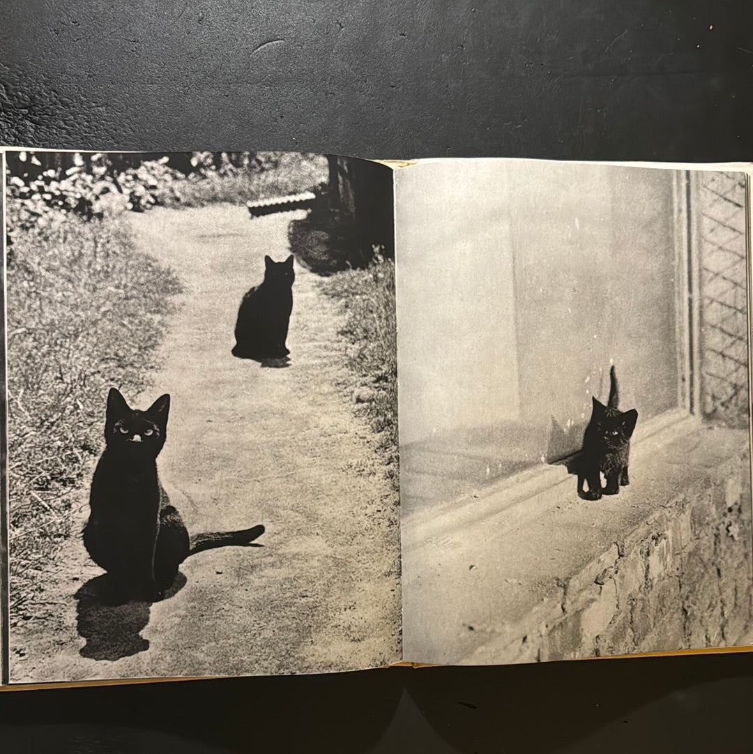 KATZEN