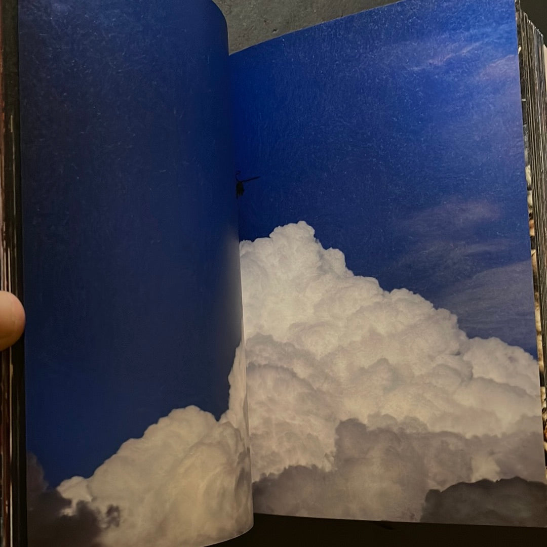 Vortex
