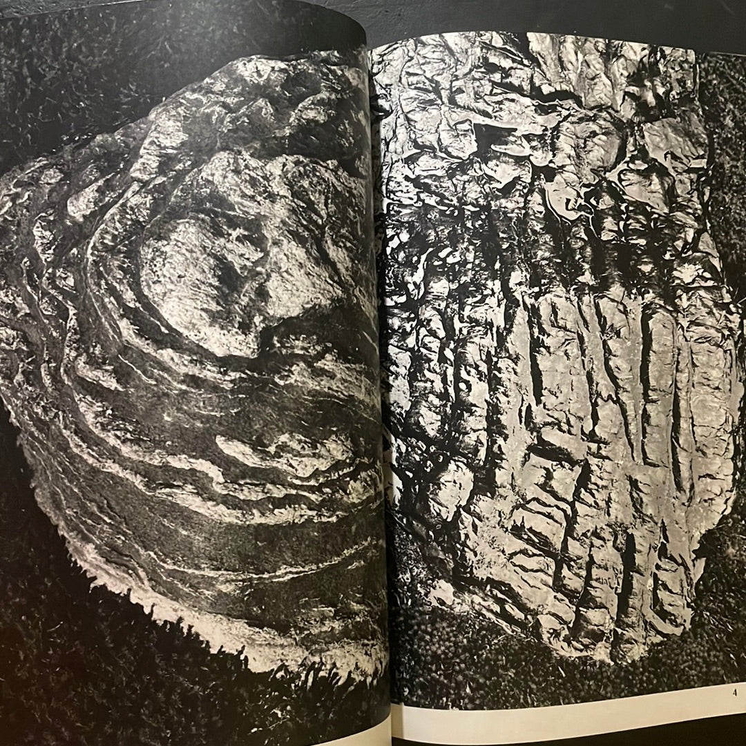 ASAHI CAMERA 1970 complete set