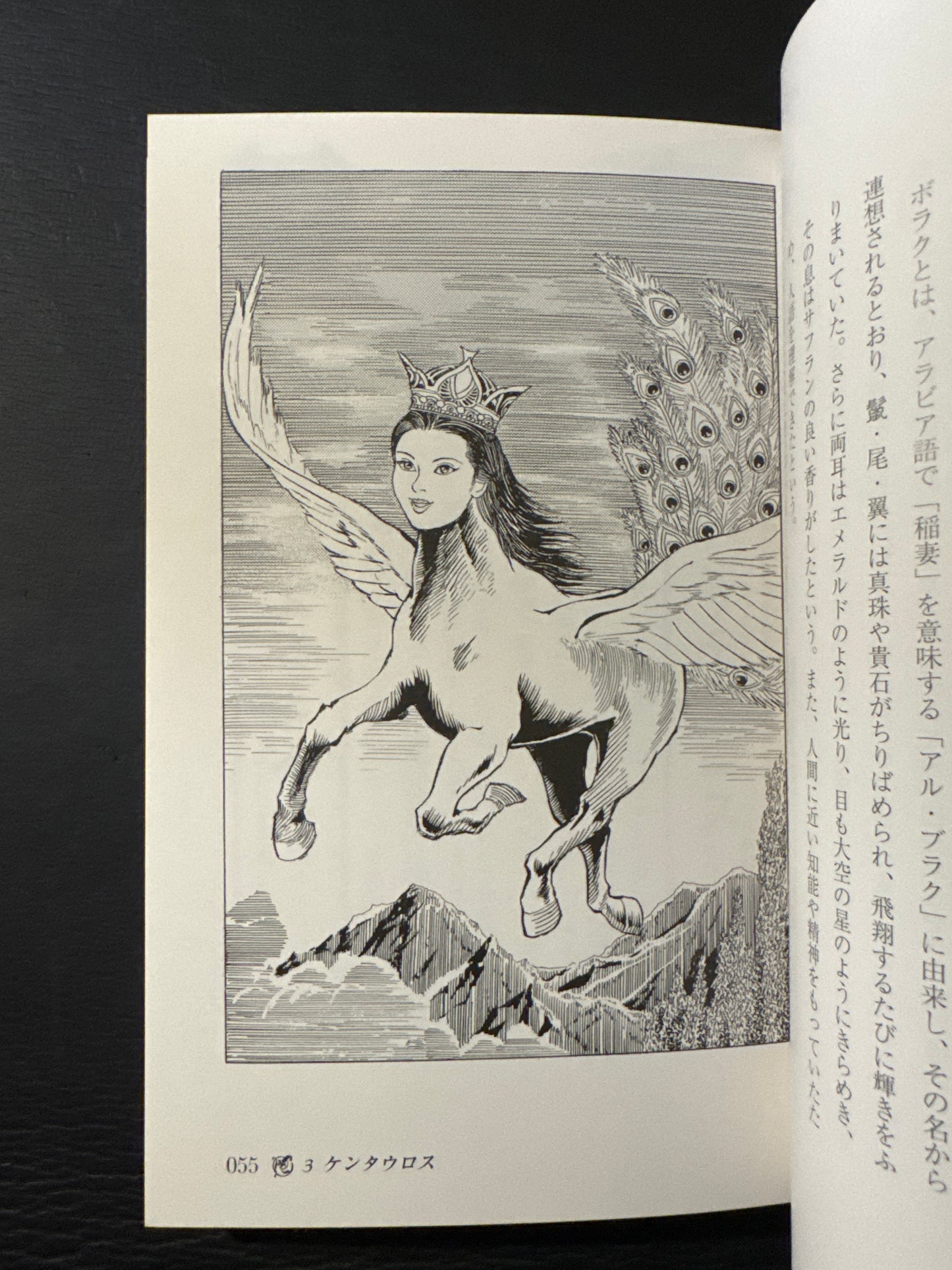 Encyclopedia of Mythical Creatures of the World