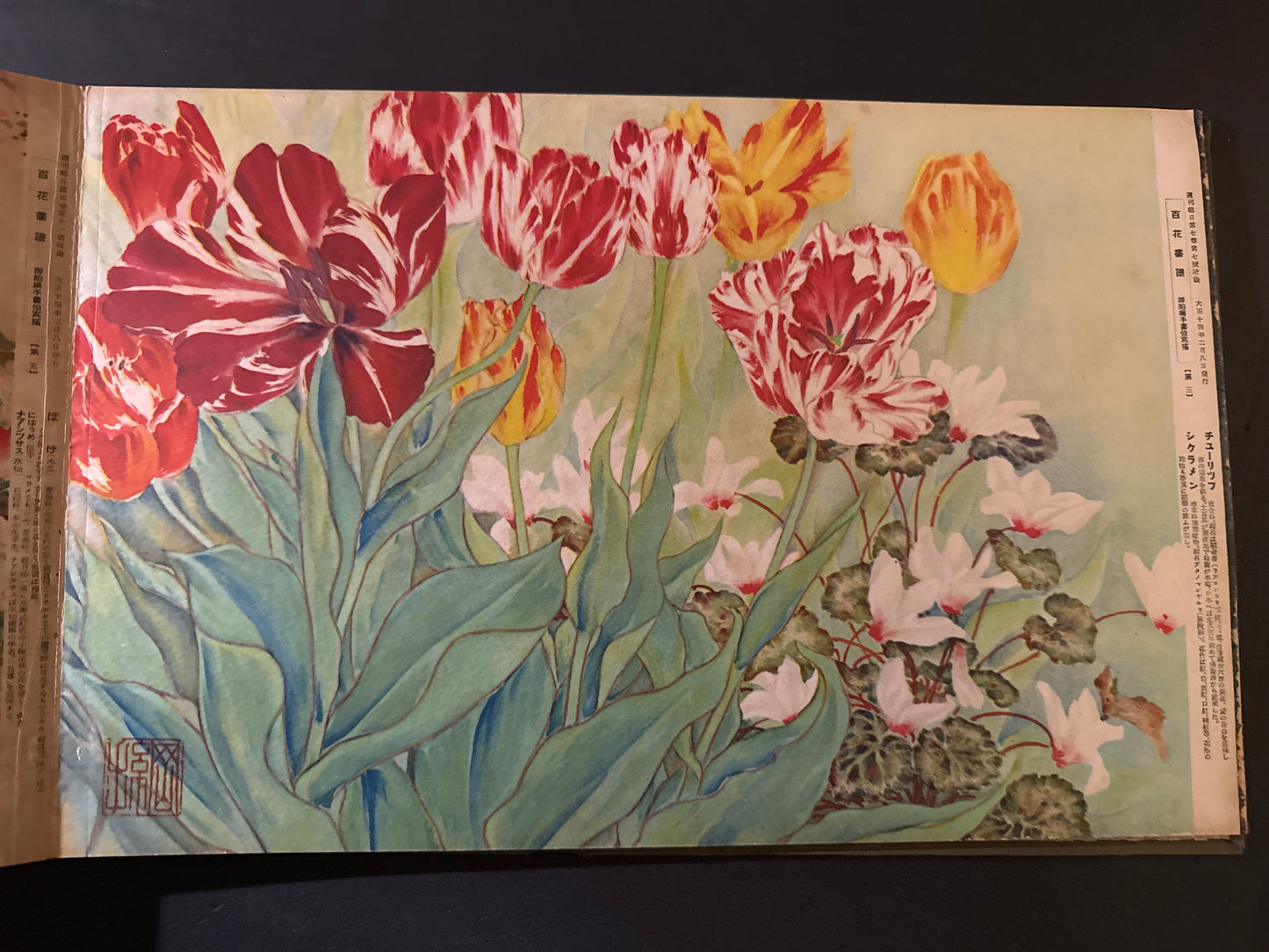 Hyakka: An Illustrated Collection of a Hundred Flowers