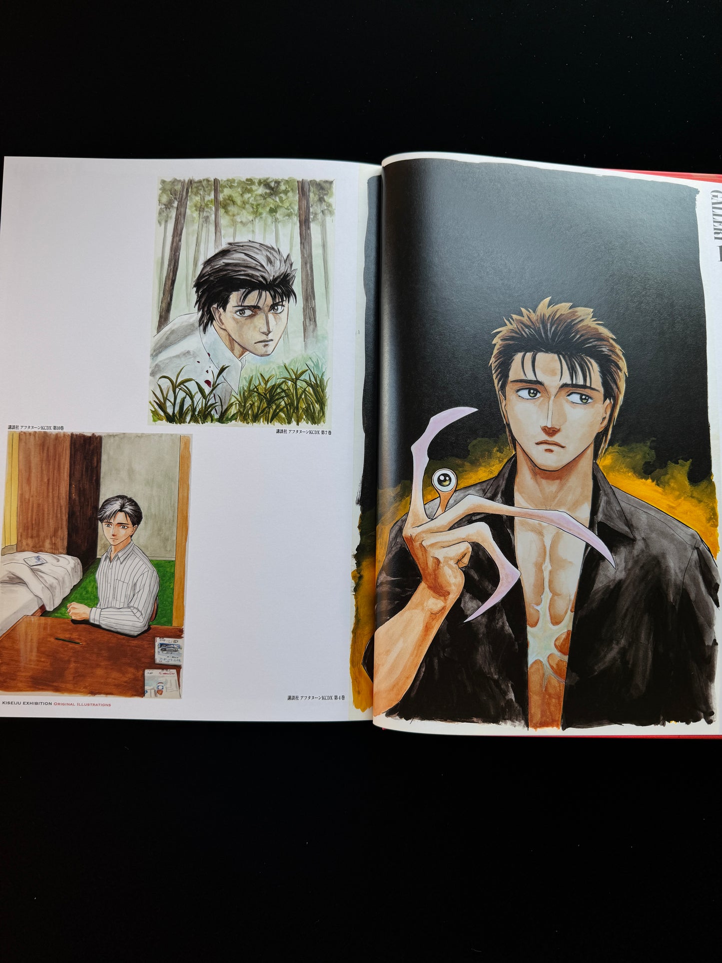 KISEIJU EXHIBITION ORIGINAL ILLUSTRATION