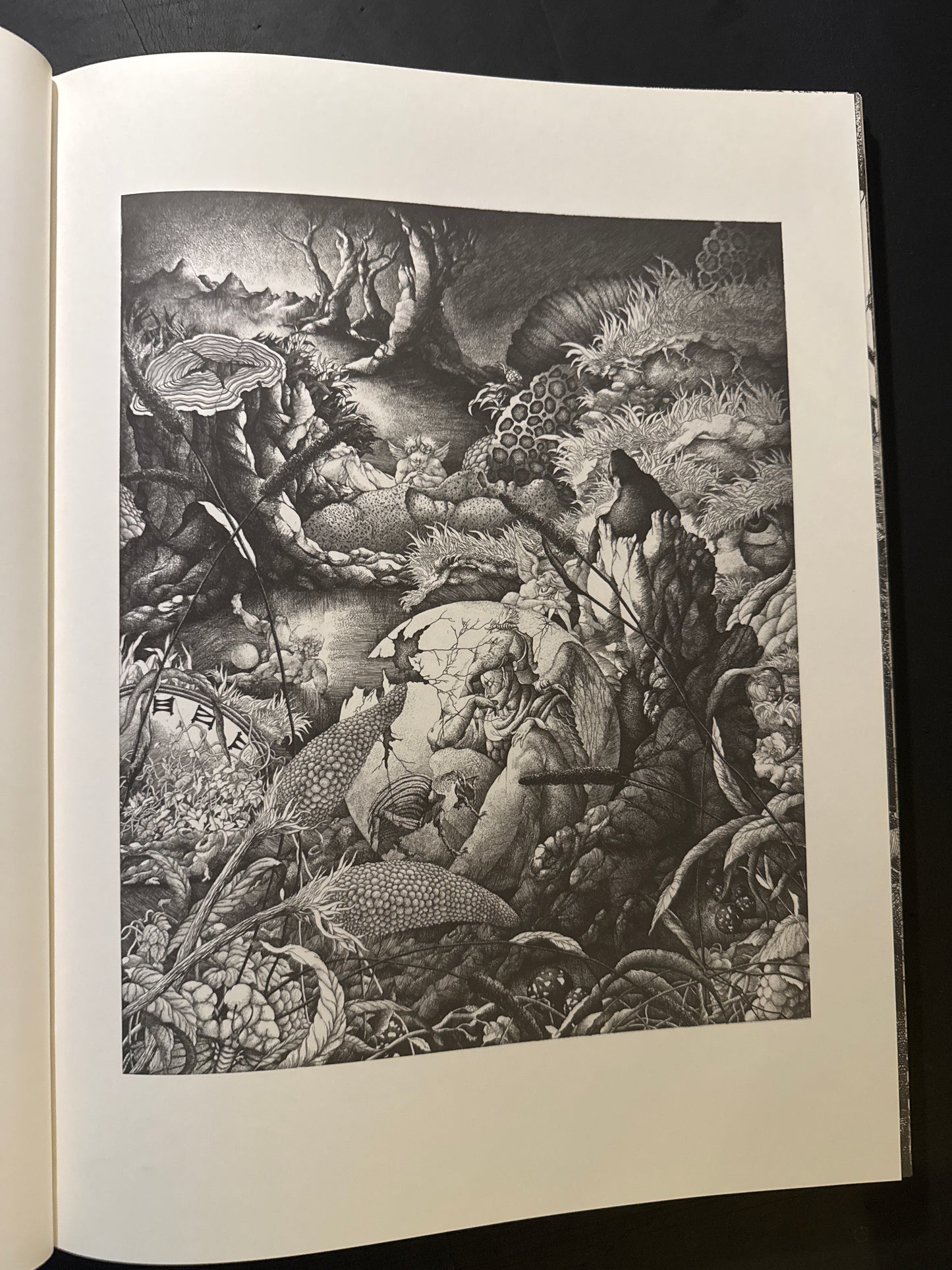 Keiko Kiyohara Artworks
