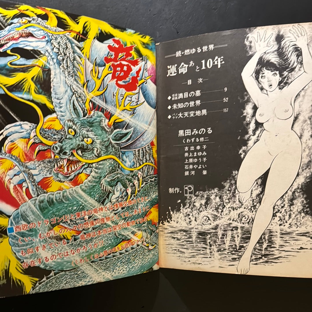 Burning World vol.1 & 2 complete set