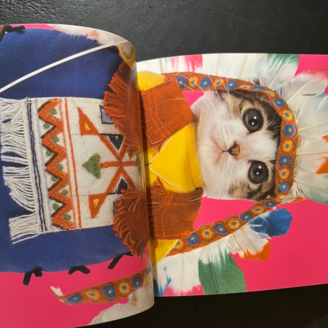 Rock'n' Roll CATS