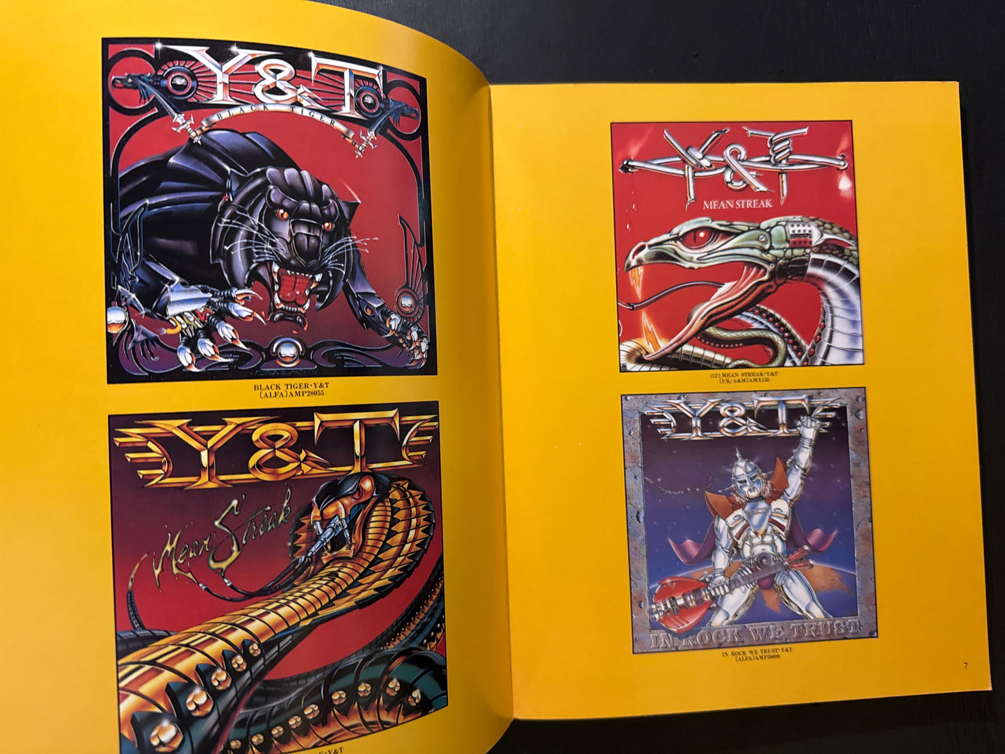 VISUAL OF HEAVYMETAL
