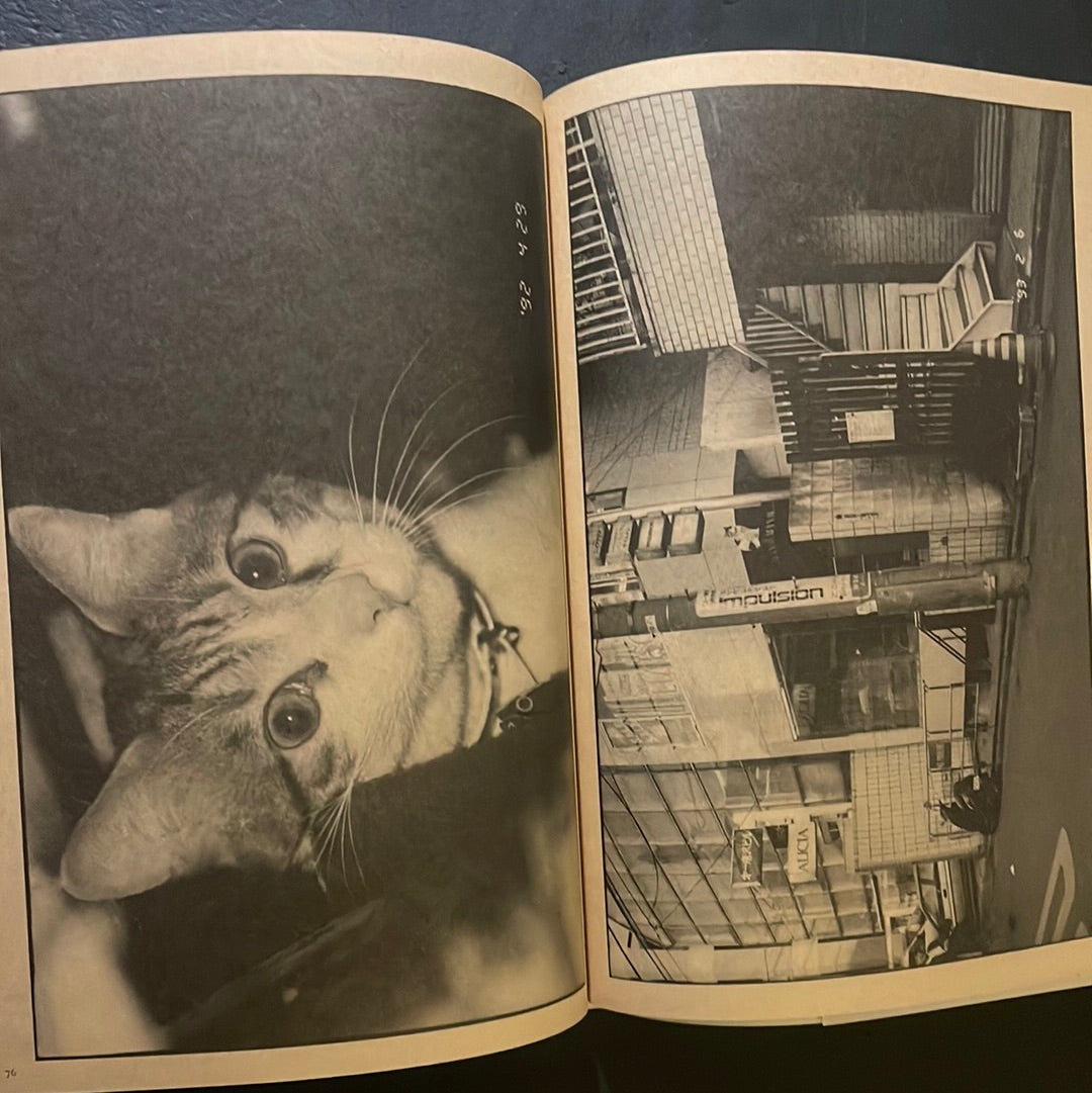 Living Cats in Tokyo