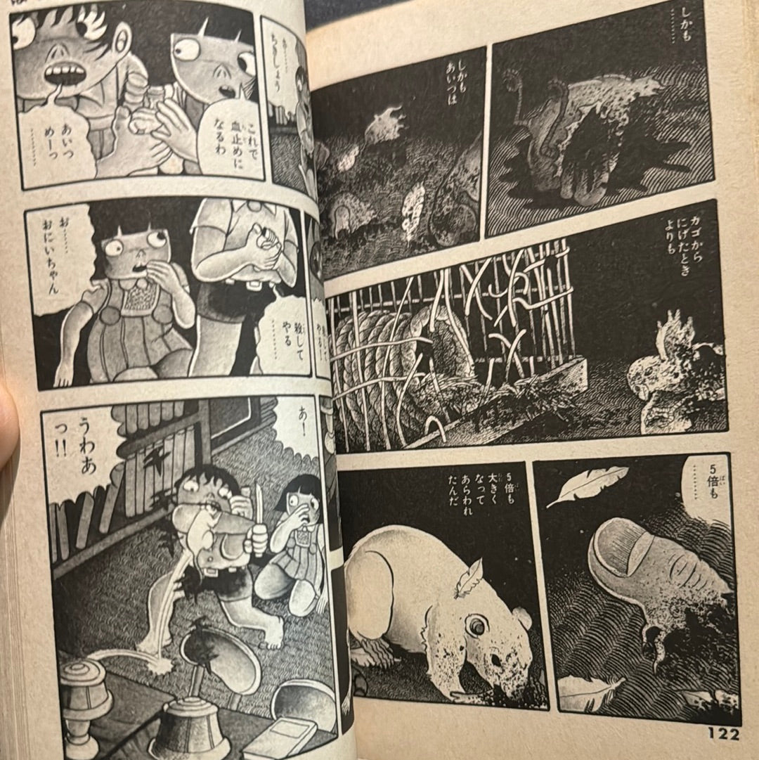 Zoroku's strange illness