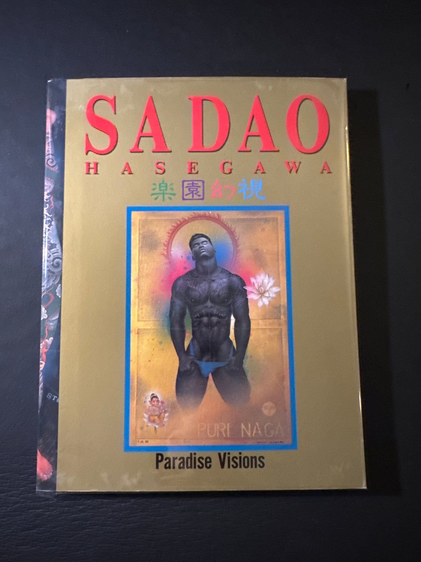 Paradise Vision