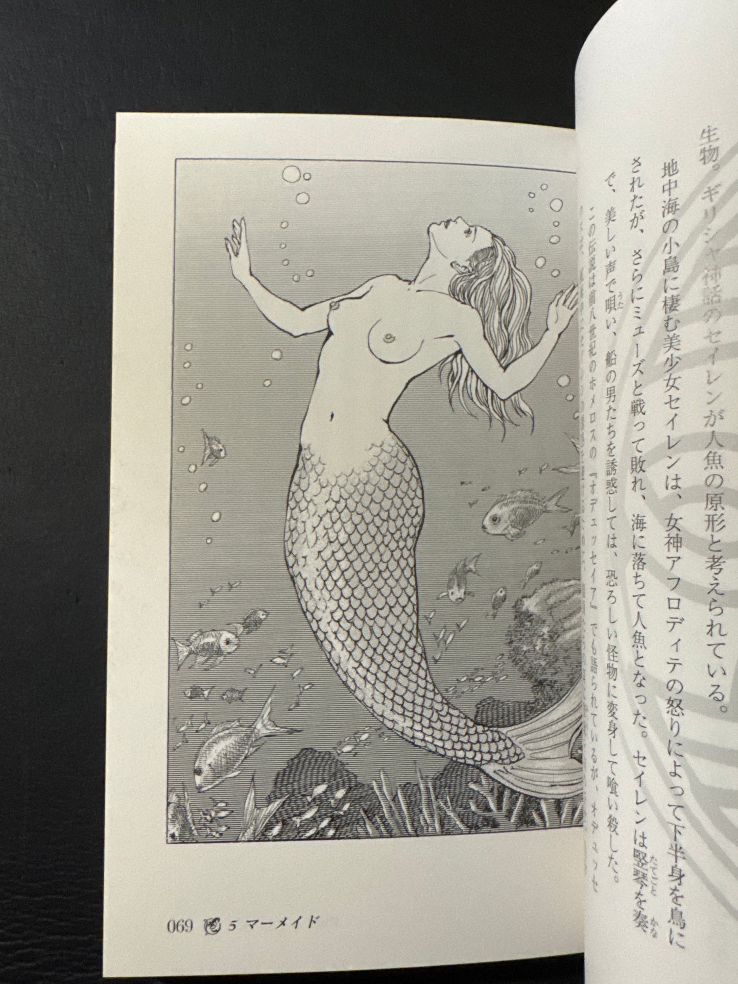 Encyclopedia of Mythical Creatures of the World