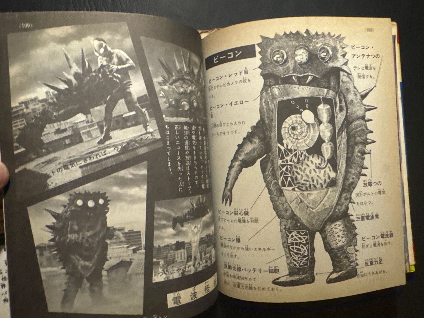 Kaiju Anatomy - Kaiju Illustrated Introduction 18