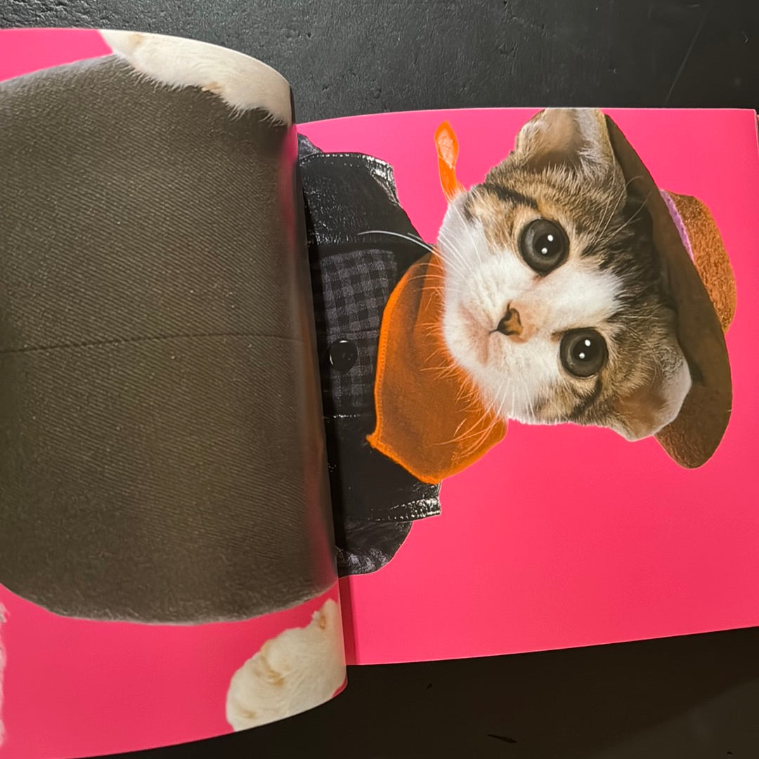 Rock'n' Roll CATS