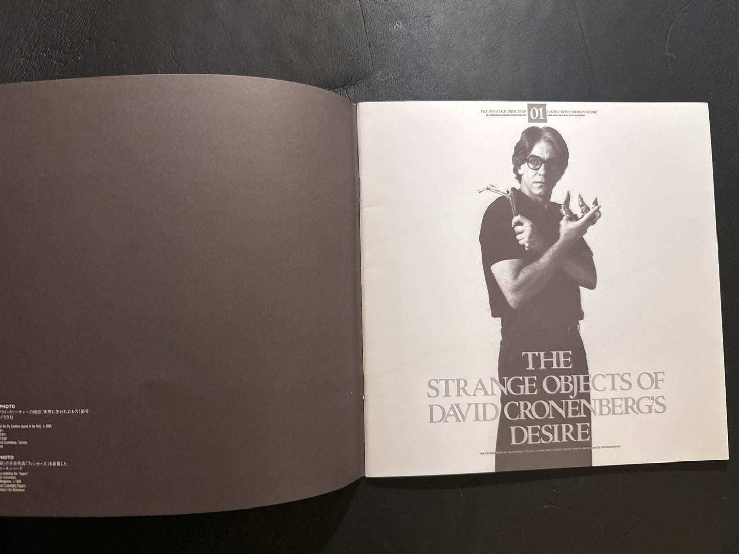 THE STRANGE OBJECTS OF DAVID CRONENBERG'S DESIRE