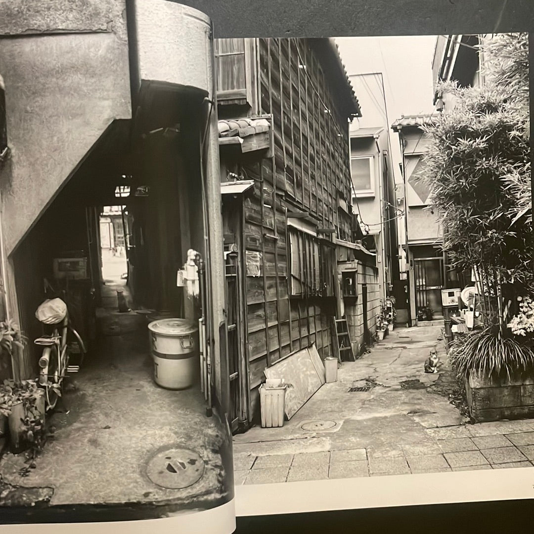 Living Cats in Tokyo