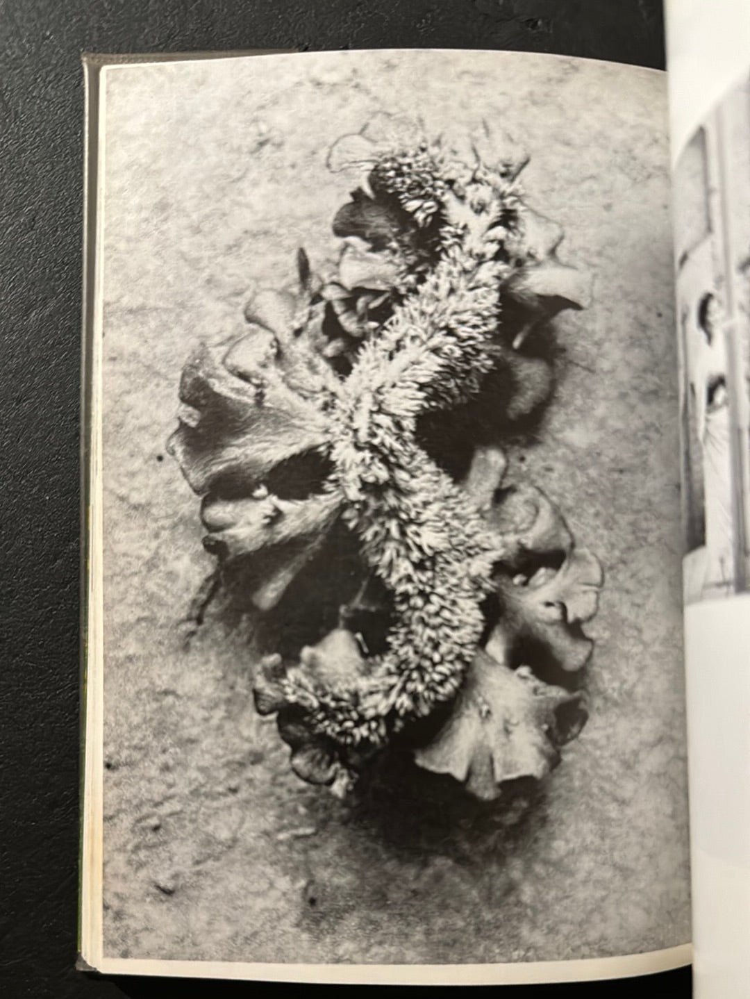 JOKYO 1965