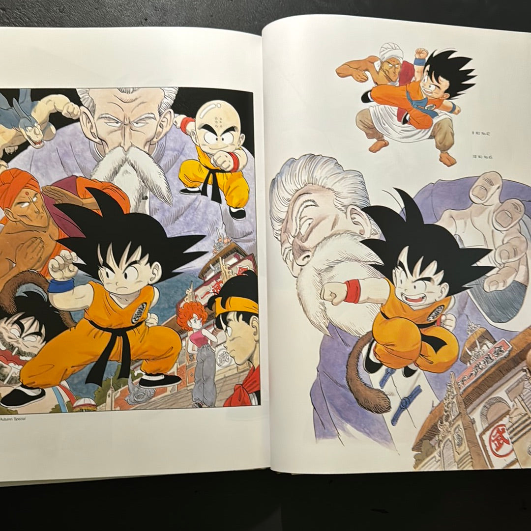 DRAGON BALL COMPLETE ILLUSTRATIONS