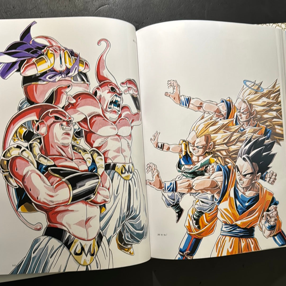 DRAGON BALL COMPLETE ILLUSTRATIONS