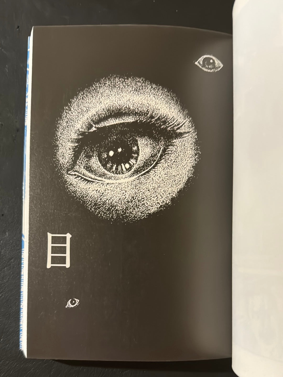 Mushi tachi no Ie (house of insects)
