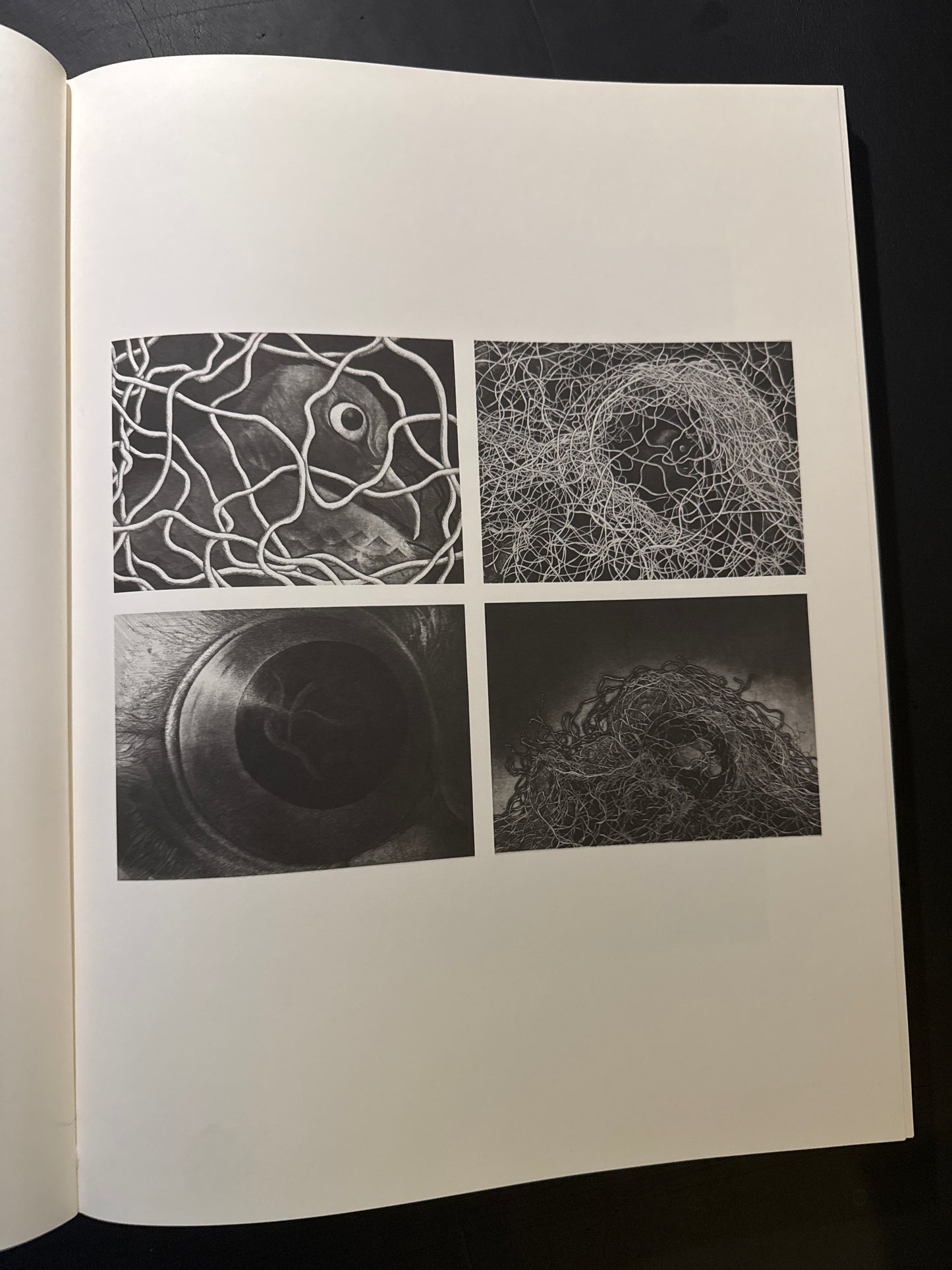 Keiko Kiyohara Artworks