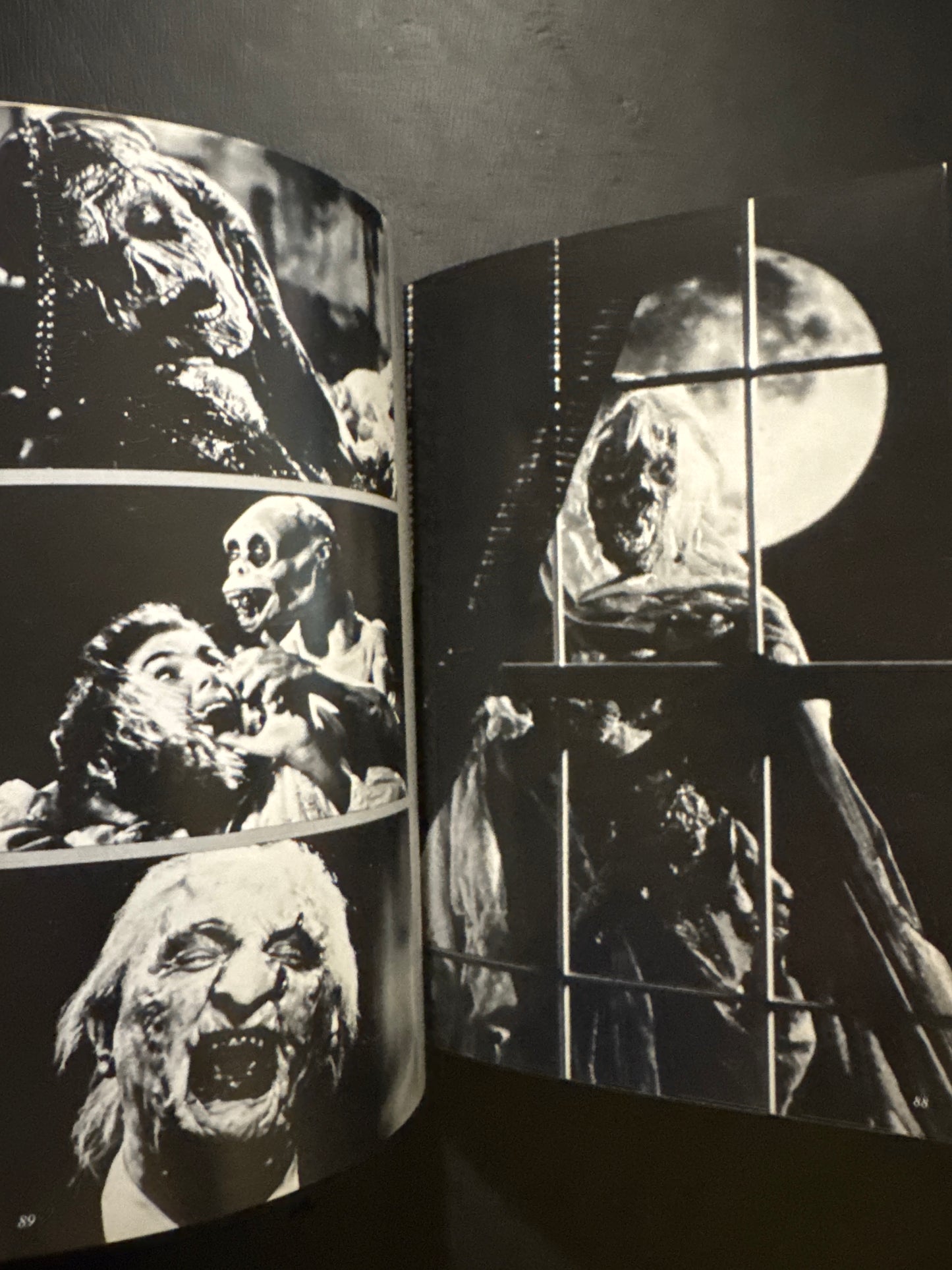 A World of Blood-Splattered Horror — The Splatter Films of Lewis and Romero