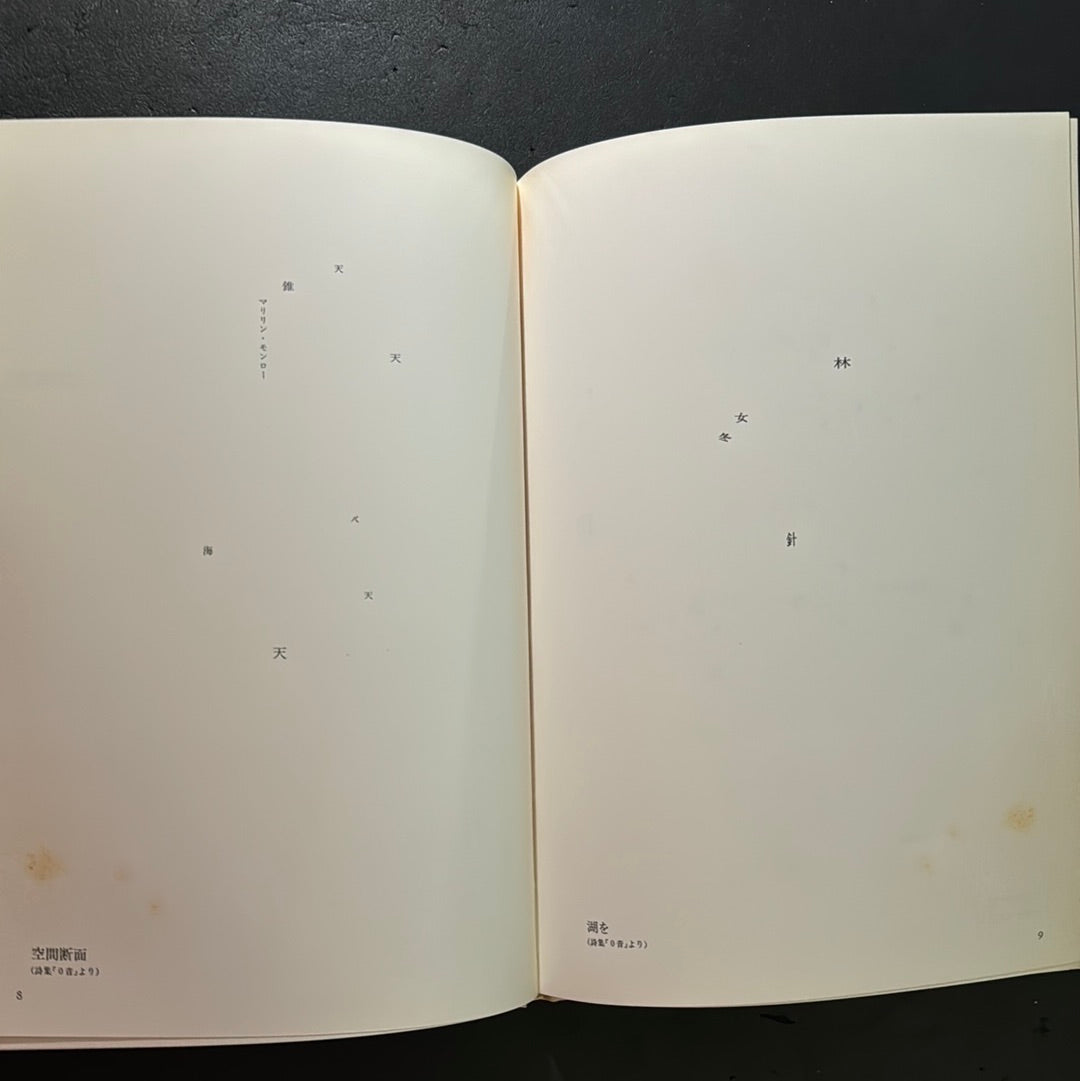SEIICHI NIIKUNI : CONCRETE POETRY