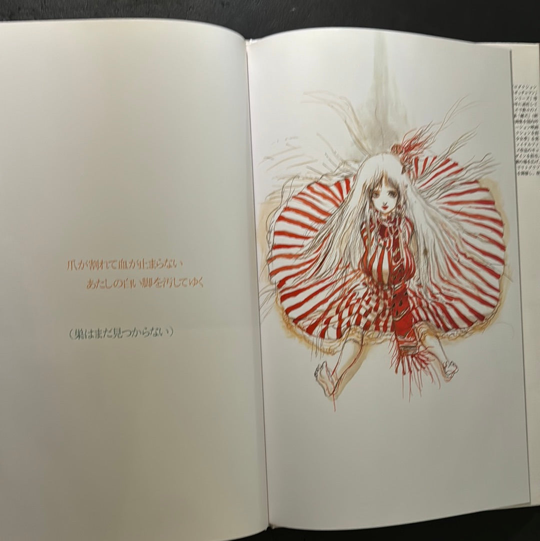 Angel's Egg 1985 First edition