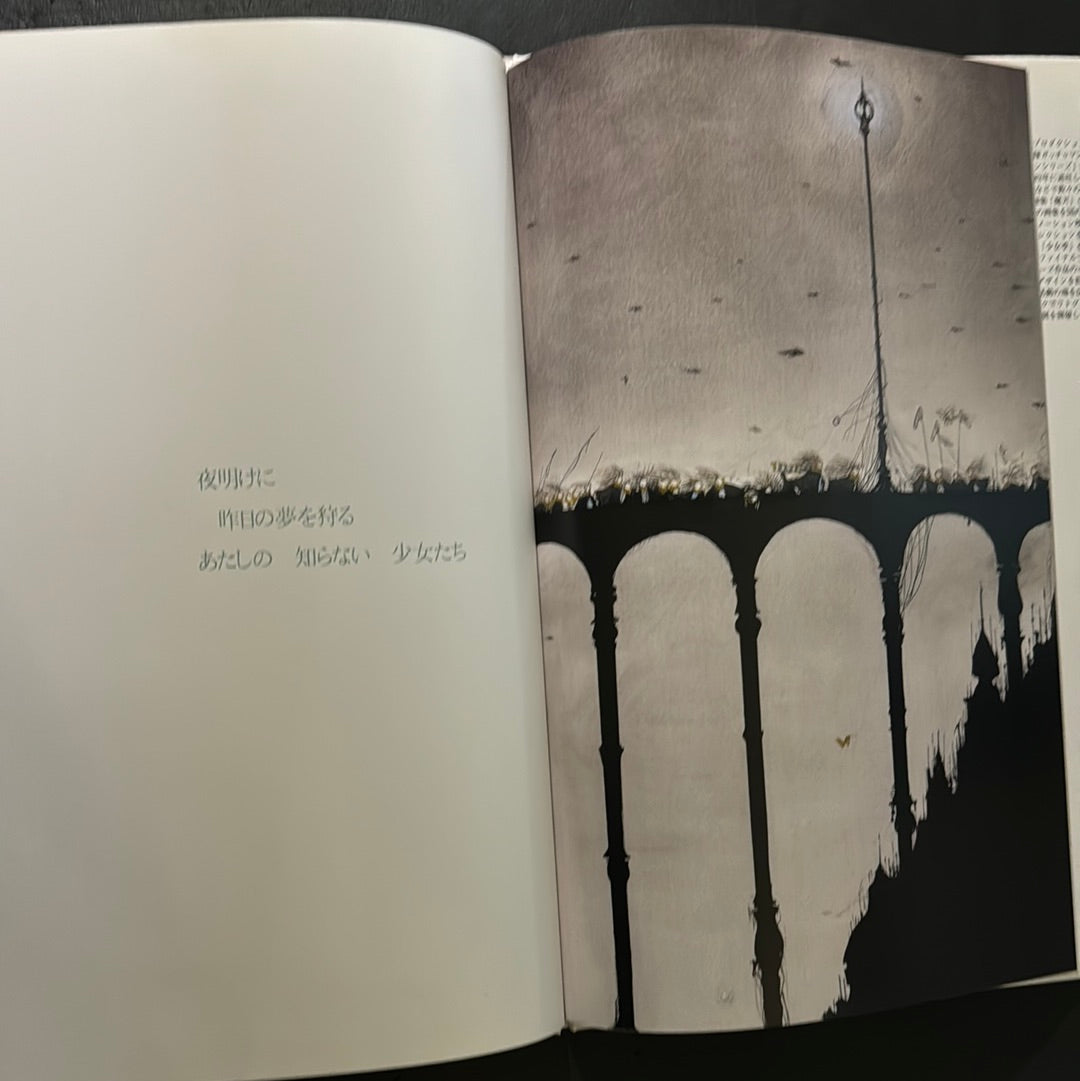 Angel's Egg 1985 First edition