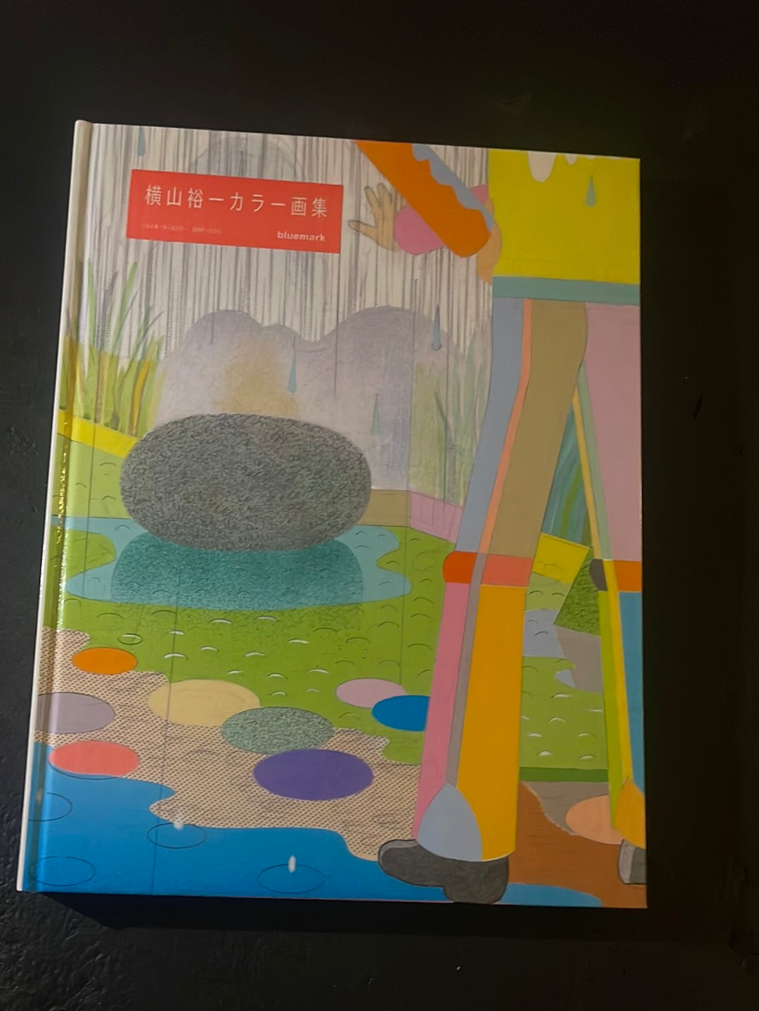 YOKOYAMA YUICHI PAINTING